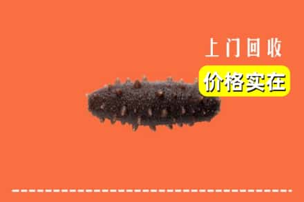 阿克苏地区乌什县回收海参