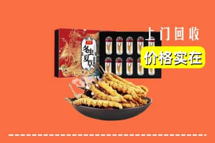 阿克苏地区乌什县回收虫草