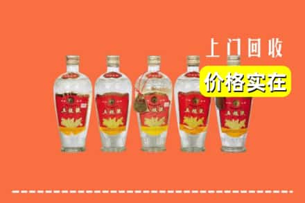 阿克苏地区乌什县回收老五粮液